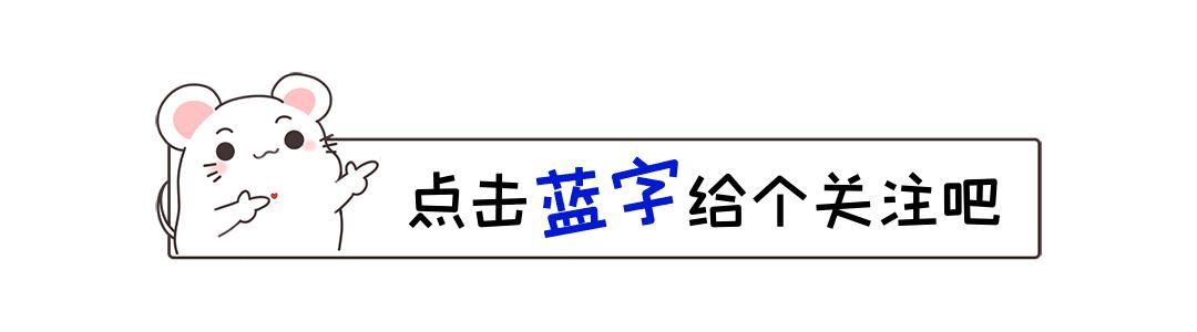 2024天天彩正版资料大全——我们为您精心整理出2024每天好运不断彩资料集｜迅速计划执行解答