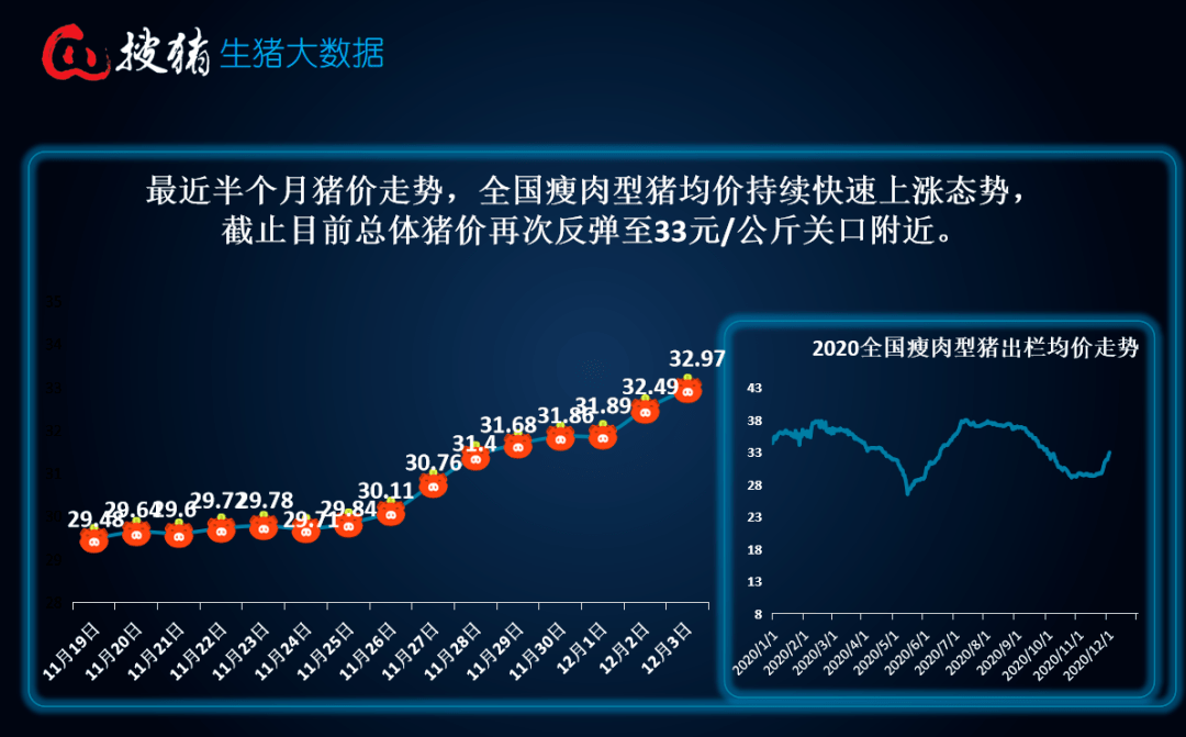 猪市动态解析报告