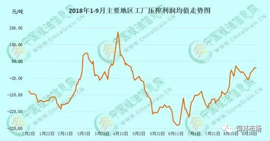 最新方向 第46页