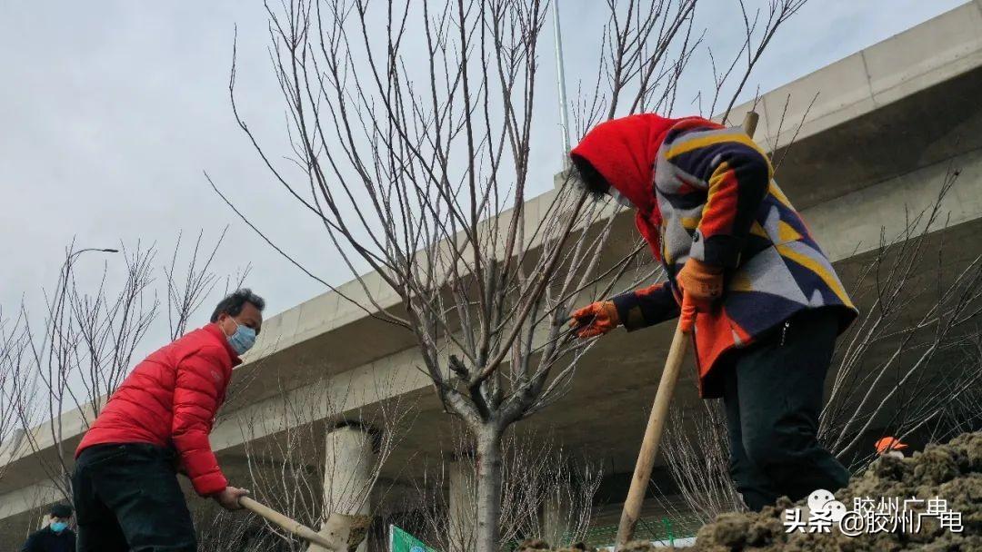 胶州市温馨家园，租房新选择，美好居住生活开启！