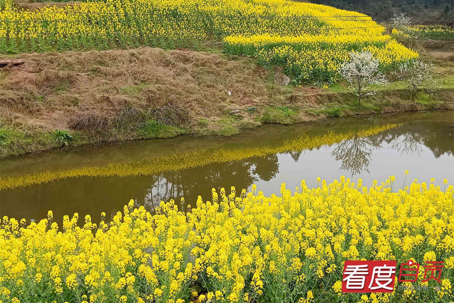 喜讯连连：高兴夫最新动态，美好未来尽在眼前