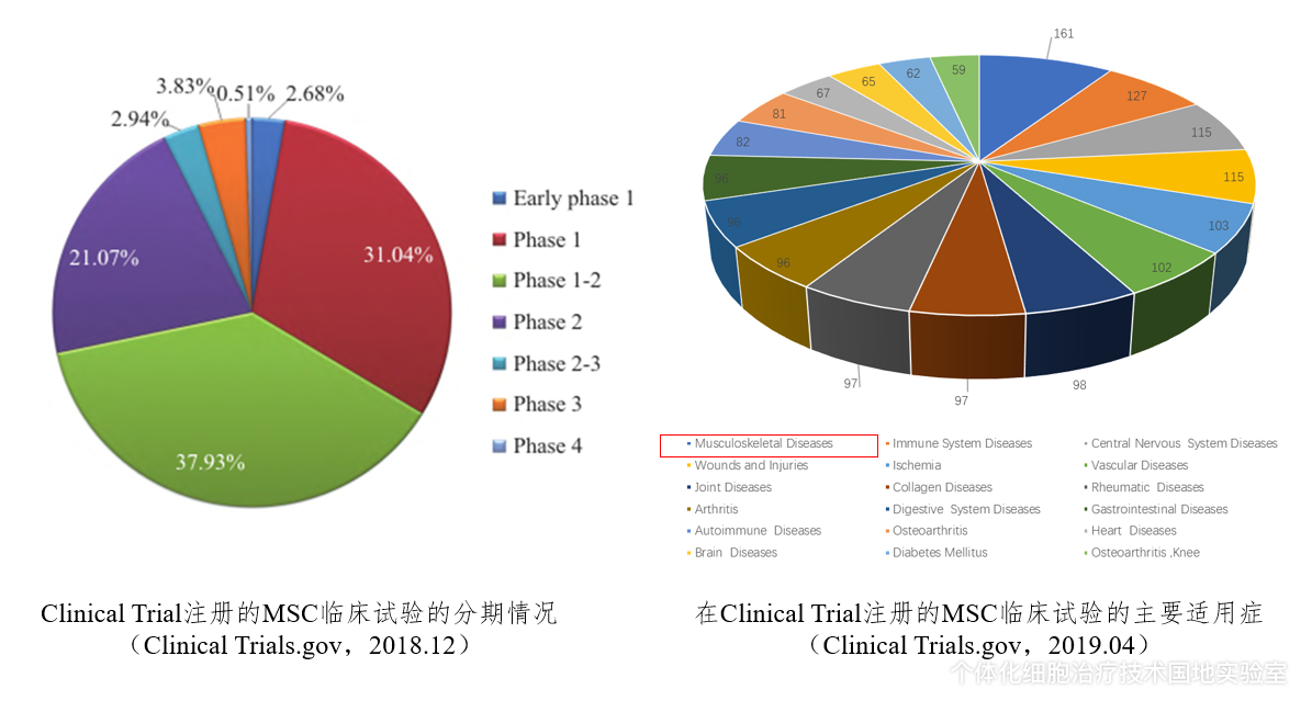 创新突破：揭秘最新零误差分组技术秘籍