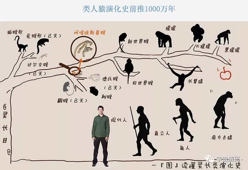 揭秘人类起源：最新科学发现解析之谜