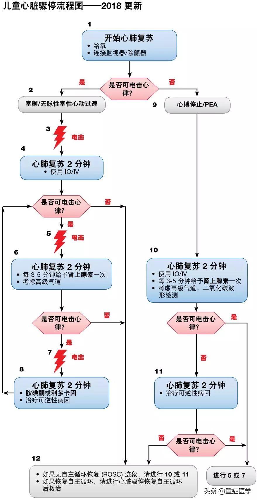 2025年度心肺复苏技术全新升级版指南